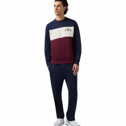 Outlet CHAMPION sweatshirt icons crewneck m Blue